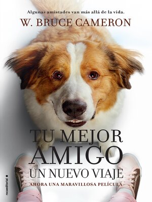 cover image of Un nuevo viaje